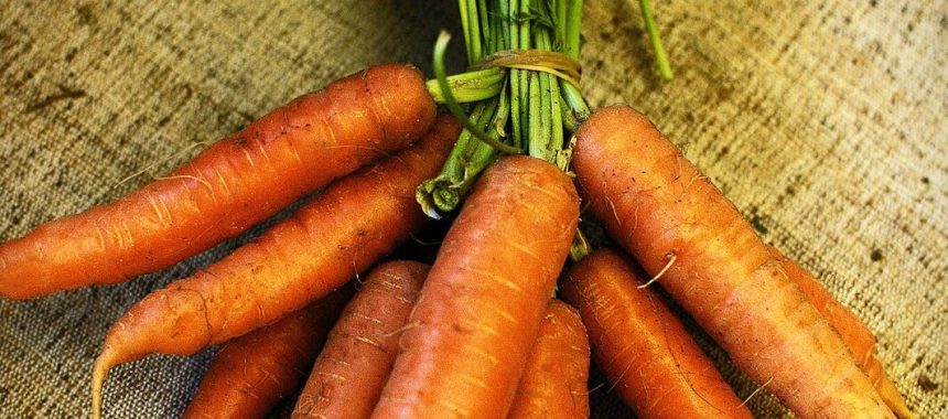 Karotten-Ingwer-Reissuppe